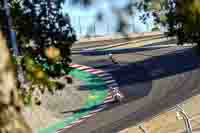 Laguna-Seca;event-digital-images;motorbikes;no-limits;peter-wileman-photography;trackday;trackday-digital-images